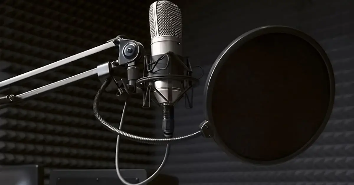A pop filter attached to a studio microphone.