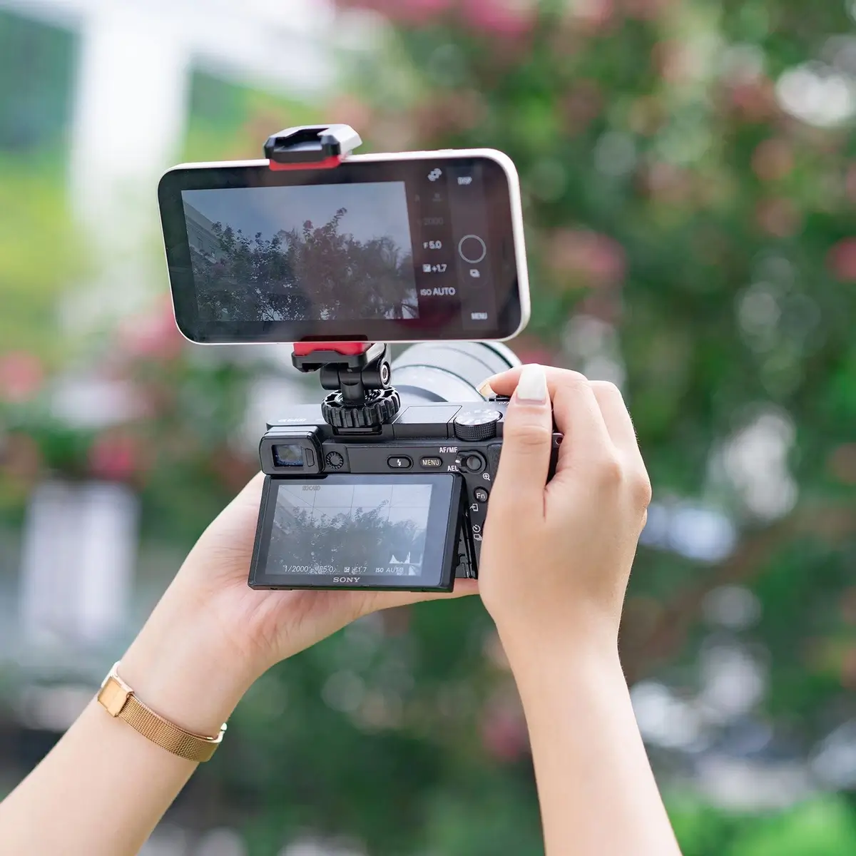 A universal smartphone mount holding a phone securely on a tripod.