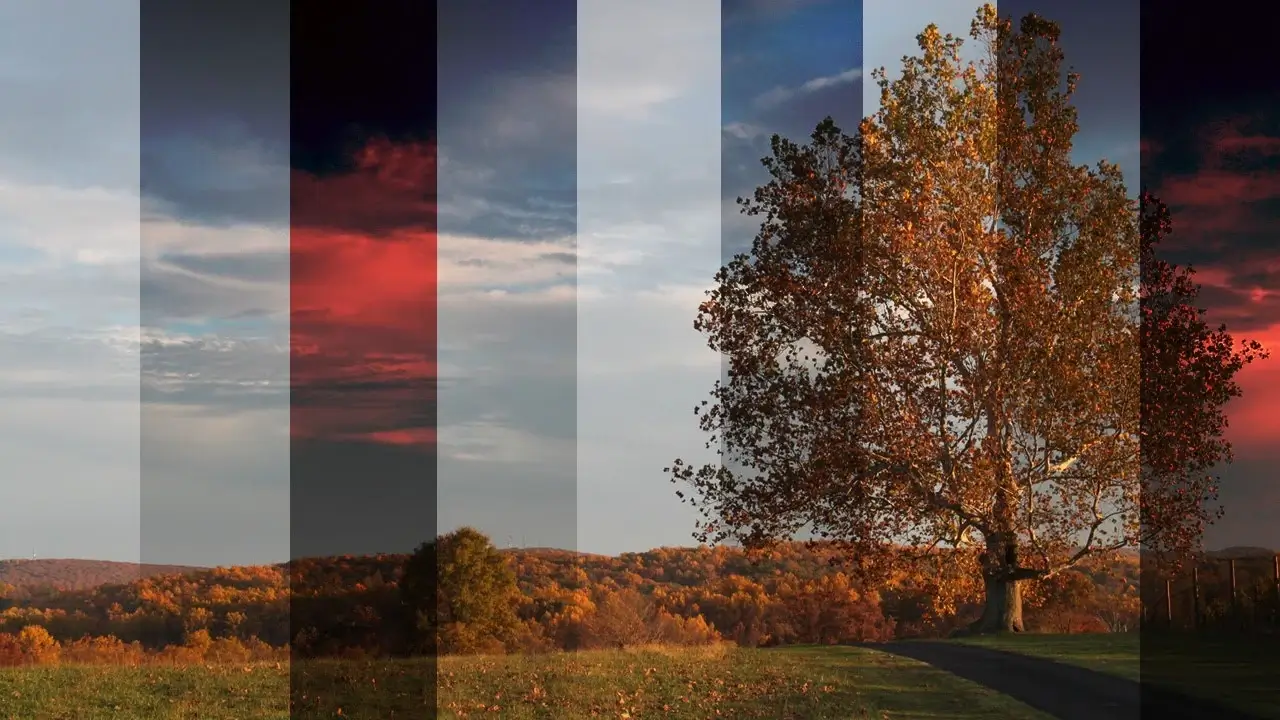 A color wheel showing complementary colors.